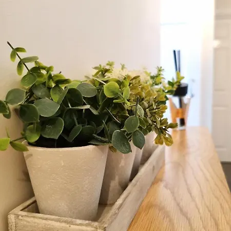 Sandalwood - By The Sea Apartmán