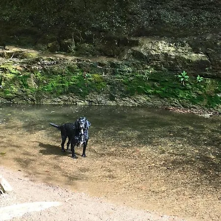 Apartmán Sandalwood - By The Sea *