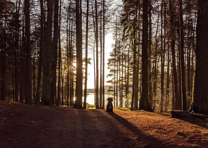 Sandalwood - By The Sea Appartement