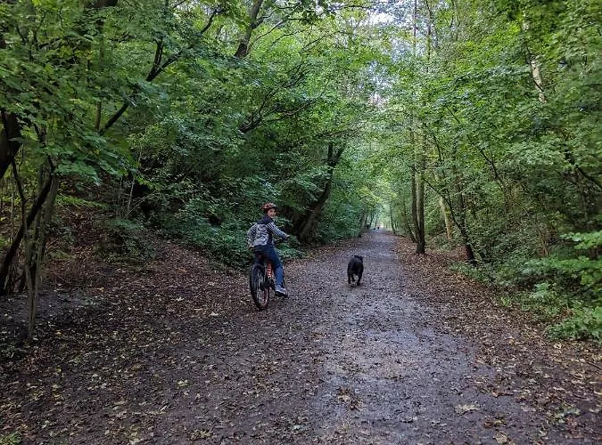 Sandalwood - By The Sea Saltburn-by-the-Sea