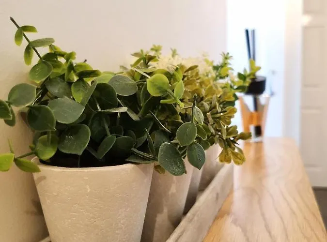 Sandalwood - By The Sea Appartement