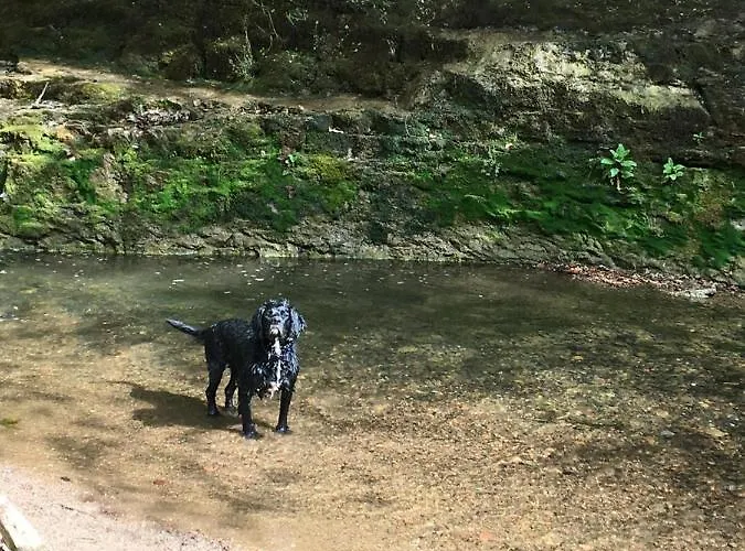 Appartement Sandalwood - By The Sea *