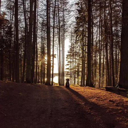 Sandalwood - By The Sea شقة