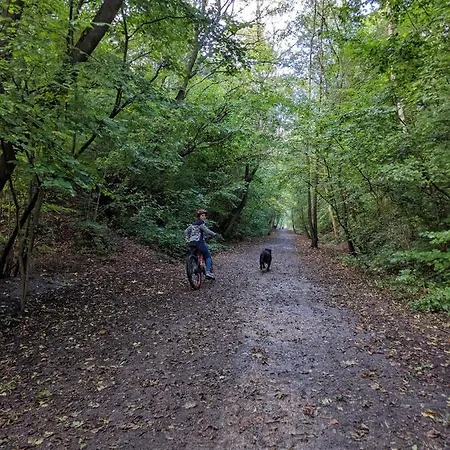 Sandalwood - By The Sea سولتبرن باي ذا سي